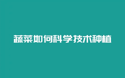 蔬菜如何科学技术种植-会东网