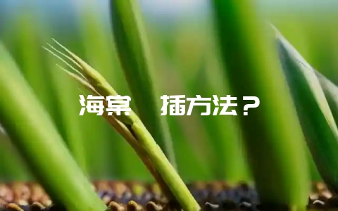 海棠扦插方法？-会东网
