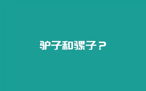 驴子和骡子？-会东网