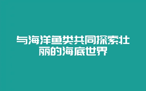 与海洋鱼类共同探索壮丽的海底世界-会东网