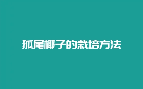 狐尾椰子的栽培方法-会东网