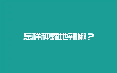 怎样种露地辣椒?-会东网