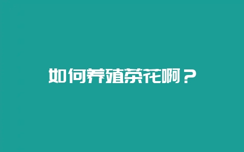 如何养殖茶花啊？-会东网