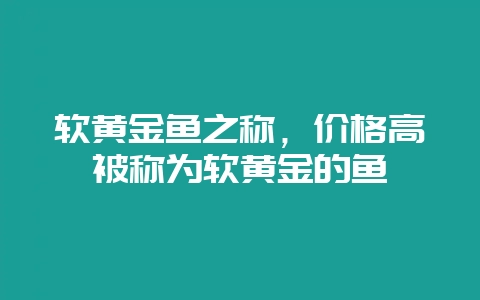 软黄金鱼之称，价格高被称为软黄金的鱼-会东网