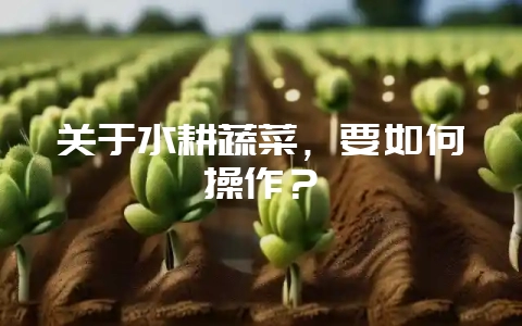 关于水耕蔬菜，要如何操作？-会东网