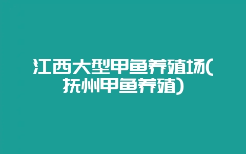 江西大型甲鱼养殖场(抚州甲鱼养殖)-会东网