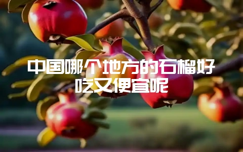 中国哪个地方的石榴好吃又便宜呢-会东网