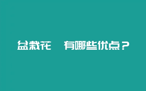 盆栽花卉有哪些优点？-会东网