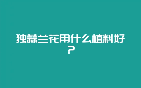 独蒜兰花用什么植料好?-会东网