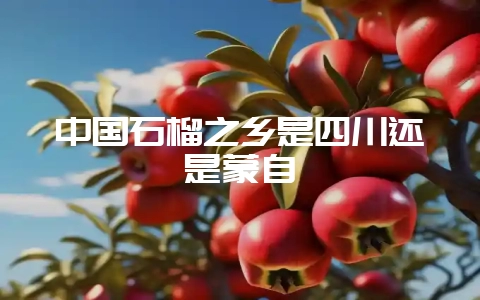 中国石榴之乡是四川还是蒙自-会东网