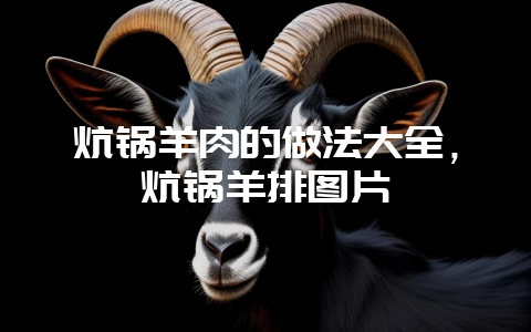 炕锅羊肉的做法大全,炕锅羊排图片-会东网