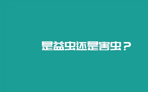 螳螂是益虫还是害虫？-会东网