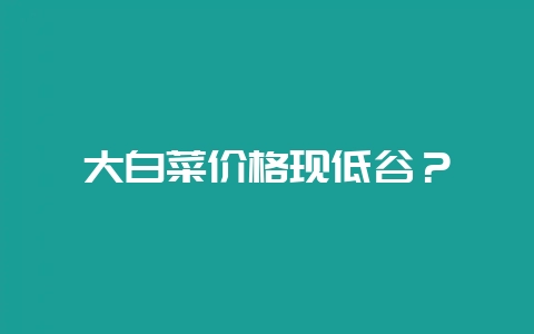 大白菜价格现低谷？-会东网