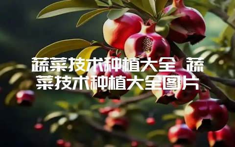 蔬菜技术种植大全 蔬菜技术种植大全图片-会东网