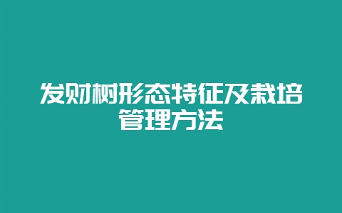 发财树形态特征及栽培管理方法-会东网