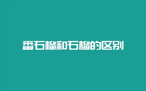 番石榴和石榴的区别-会东网