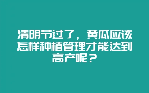 清明节过了，黄瓜应该怎样种植管理才能达到高产呢？-会东网