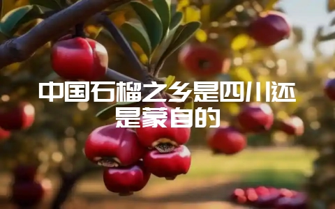 中国石榴之乡是四川还是蒙自的-会东网