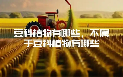 豆科植物有哪些,不属于豆科植物有哪些-会东网