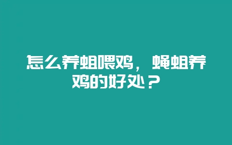 怎么养蛆喂鸡，蝇蛆养鸡的好处？-会东网