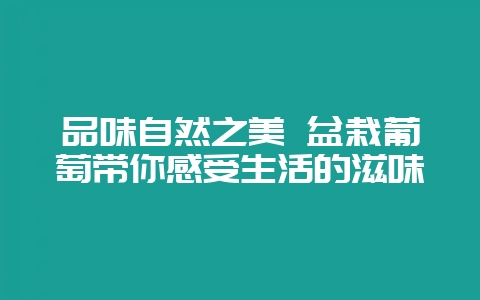 品味自然之美 盆栽葡萄带你感受生活的滋味-会东网