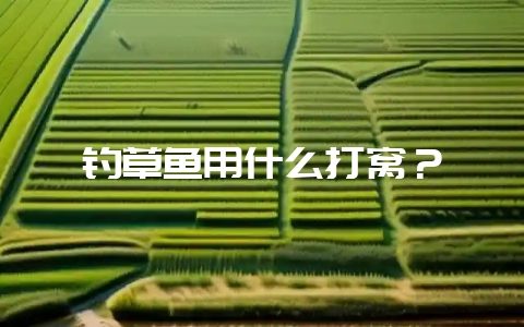 钓草鱼用什么打窝？-会东网