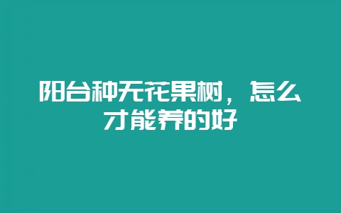 阳台种无花果树,怎么才能养的好-会东网
