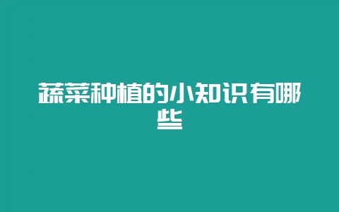 蔬菜种植的小知识有哪些-会东网