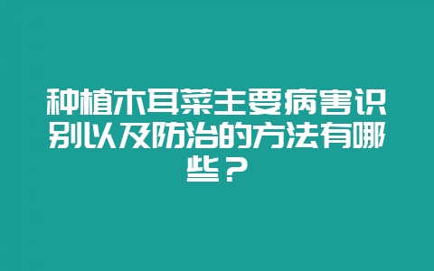种植木耳菜主要病害识别以及防治的方法有哪些？-会东网