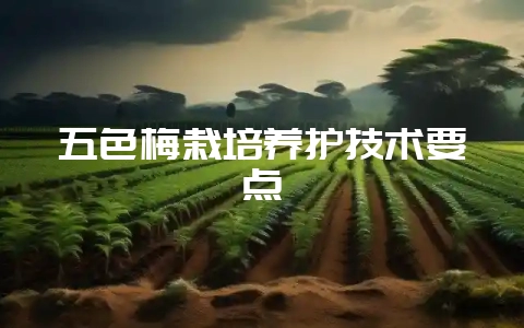 五色梅栽培养护技术要点-会东网