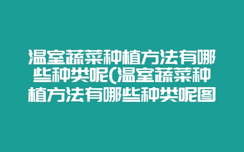 温室蔬菜种植方法有哪些种类呢(温室蔬菜种植方法有哪些种类呢图片)-会东网