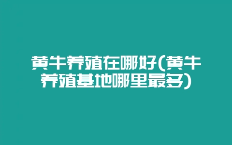 黄牛养殖在哪好(黄牛养殖基地哪里最多)-会东网