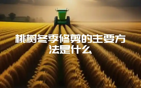 桃树冬季修剪的主要方法是什么-会东网