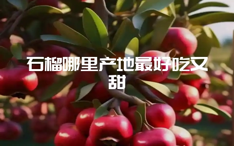 石榴哪里产地最好吃又甜-会东网