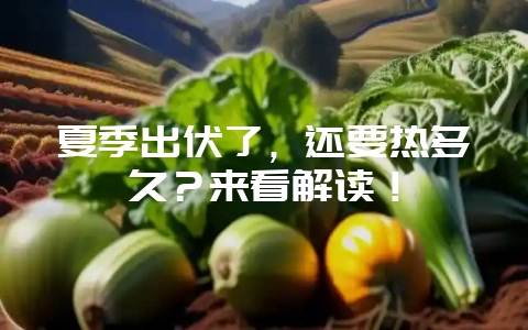 夏季出伏了，还要热多久？来看解读！-会东网