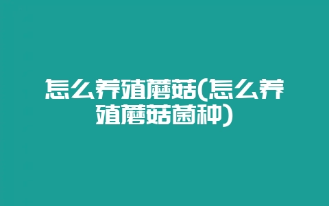 怎么养殖蘑菇(怎么养殖蘑菇菌种)-会东网