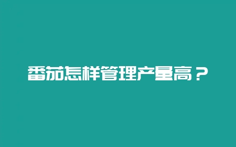 番茄怎样管理产量高？-会东网