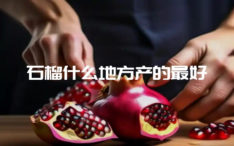 石榴什么地方产的最好-会东网