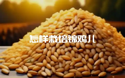 怎样栽培锦鸡儿-会东网