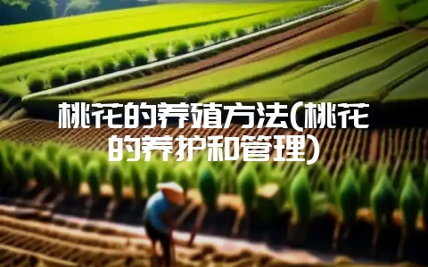 桃花的养殖方法(桃花的养护和管理)-会东网