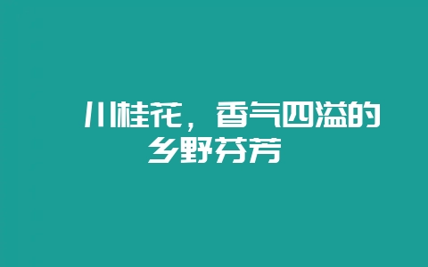 潢川桂花，香气四溢的乡野芬芳-会东网