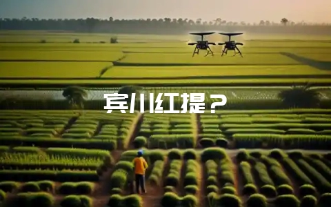 宾川红提？-会东网