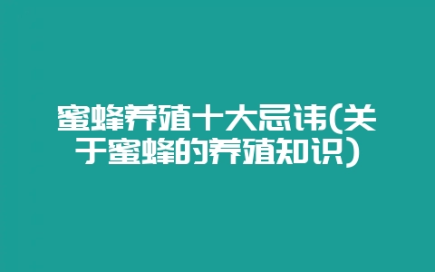 蜜蜂养殖十大忌讳(关于蜜蜂的养殖知识)-会东网
