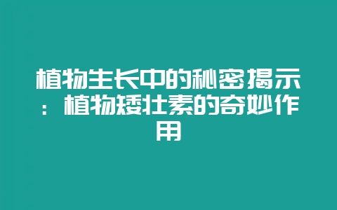 植物生长中的秘密揭示：植物矮壮素的奇妙作用-会东网