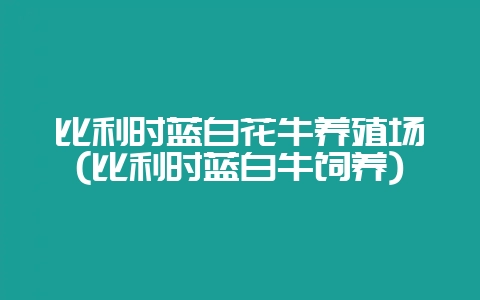 比利时蓝白花牛养殖场(比利时蓝白牛饲养)-会东网