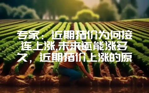 专家：近期猪价为何接连上涨,未来还能涨多久，近期猪价上涨的原因-会东网
