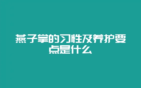 燕子掌的习性及养护要点是什么-会东网