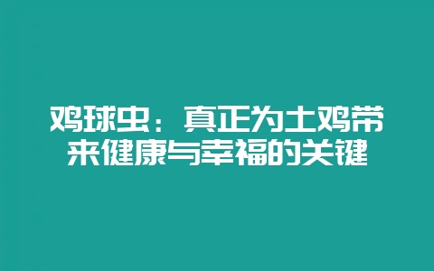 鸡球虫：真正为土鸡带来健康与幸福的关键-会东网
