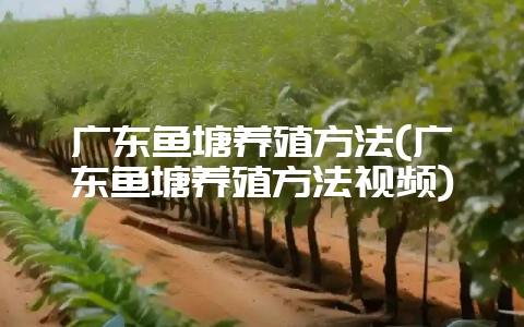 广东鱼塘养殖方法(广东鱼塘养殖方法视频)-会东网