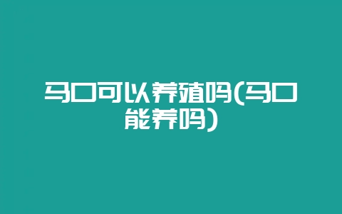 马口可以养殖吗(马口能养吗)-会东网